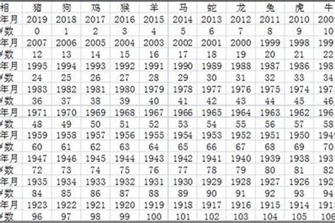 2007 年生肖|2007年出生的属什么,2007年是什么生肖